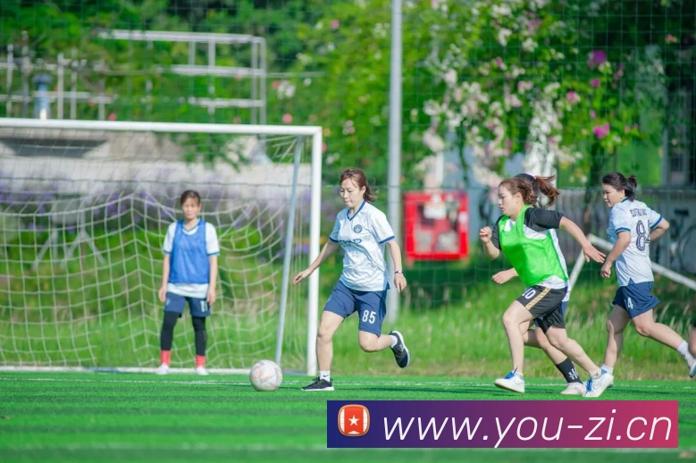 开云足球.中国全站App 开云足球.中国全站App